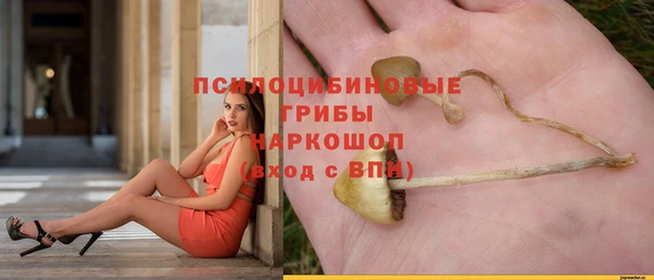 а пвп мука Мегион