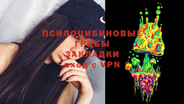 дмт Медногорск