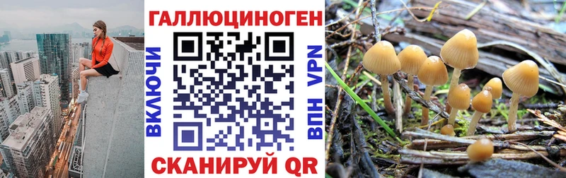Галлюциногенные грибы GOLDEN TEACHER  Иноземцево 