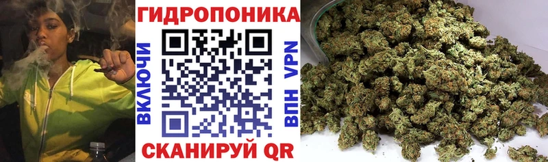 Бошки марихуана Amnesia Иноземцево